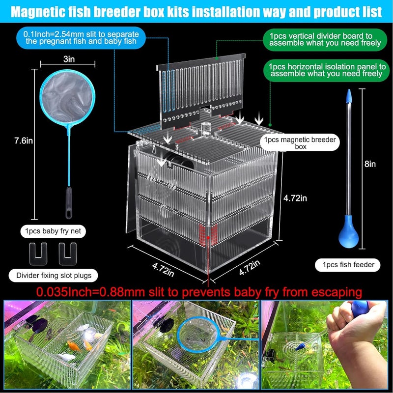NestBasics Magnetic Fish Breeder Box for Isolation Boxes (4.71 Inch with 2 Divider（Sealed Bottom Version）) - Image 2